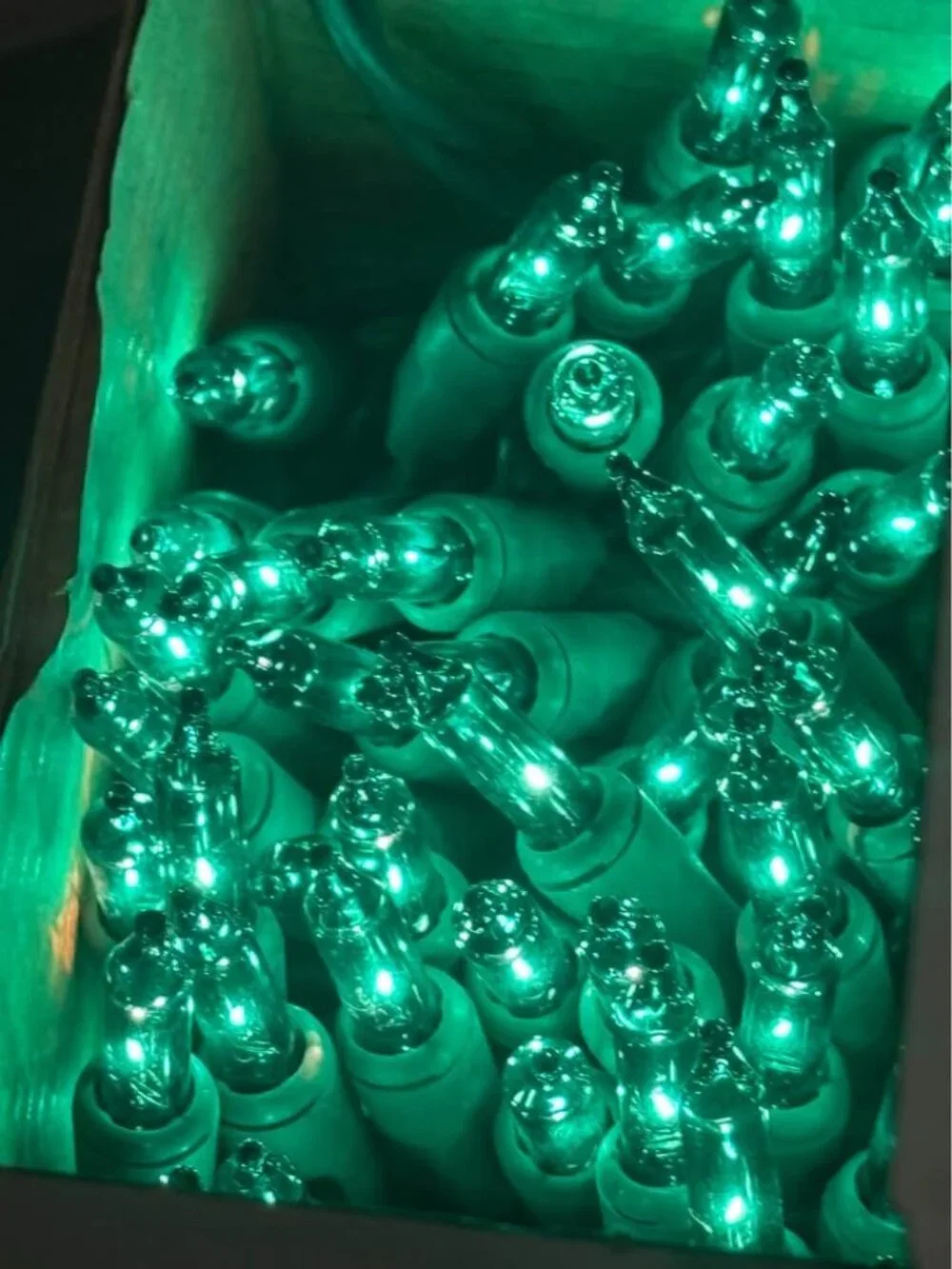 Holiday Time Christmas or St Patricks Day Irish Green 100 Mini String Lights Set